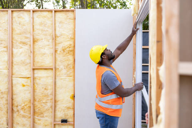 Best Insulation Removal  in Farmville, VA