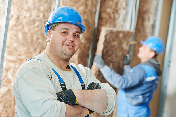 Best Energy-efficient Insulation  in Farmville, VA