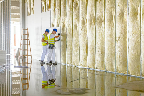 Insulation Contractors for Homes in Farmville, VA